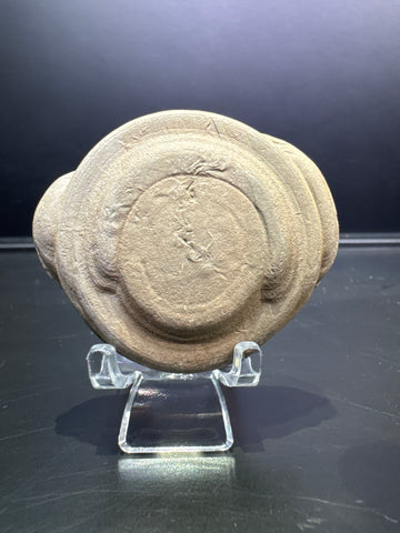 Fairy Stone