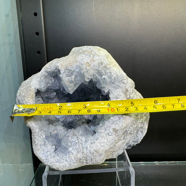 Celestite Geode