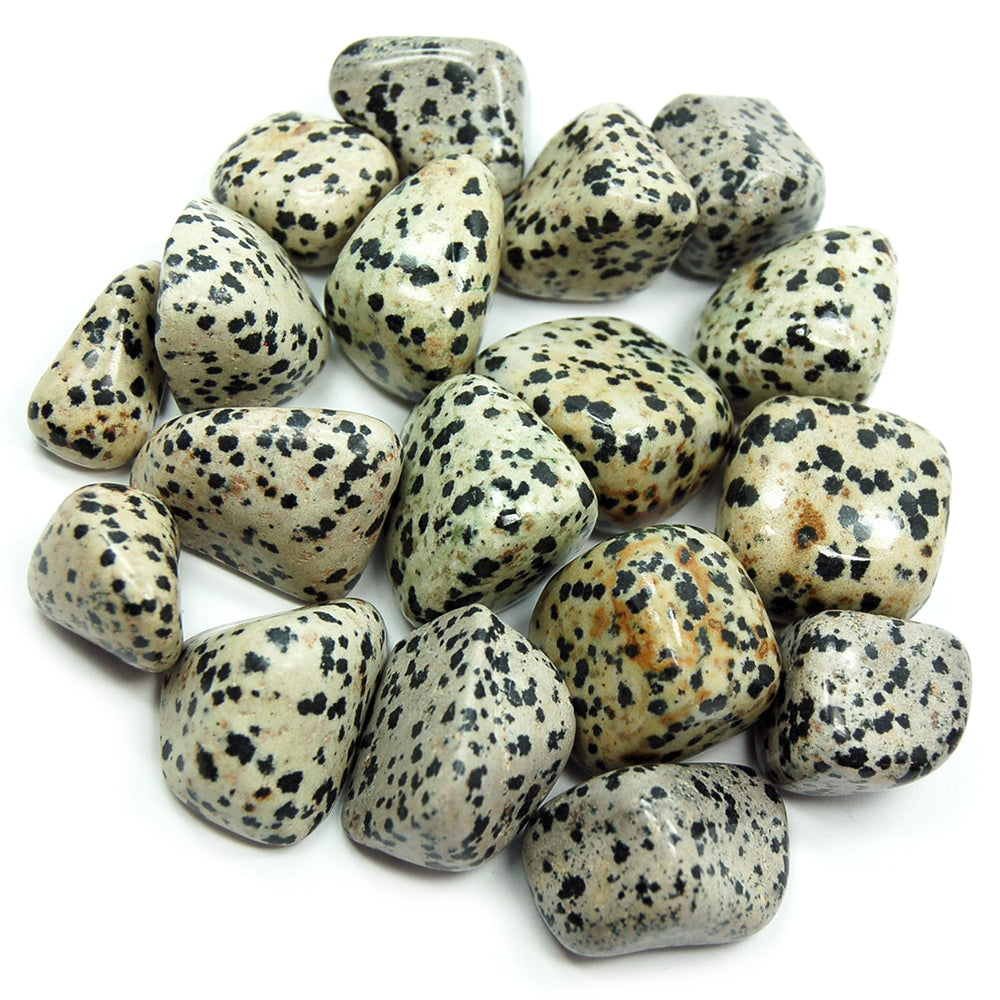 Dalmatian Jasper- Tumbled