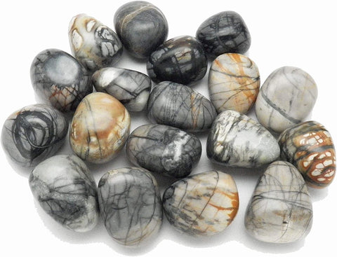 Picasso Jasper- Tumbled