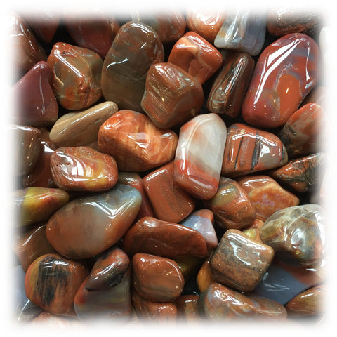 Petrified Wood- Tumbled