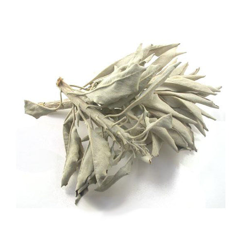 White Sage- Loose- 1 oz